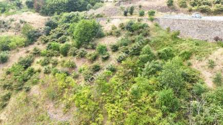 Trabzon Akçaabat Söğütlüde Satılık Arsalar 11