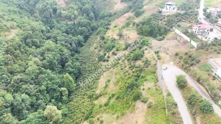 Trabzon Akçaabat Söğütlüde Satılık Arsalar 5