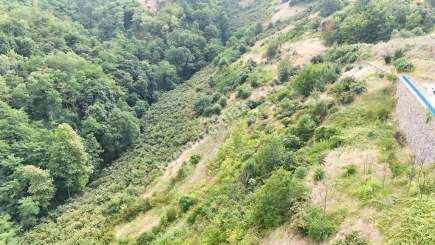 Trabzon Akçaabat Söğütlüde Satılık Arsalar 7