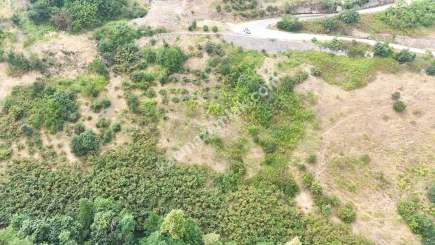 Trabzon Akçaabat Söğütlüde Satılık Arsalar 1