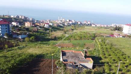 Trabzon Akçaabat Yaylacık Mah Satılık Arsa 10