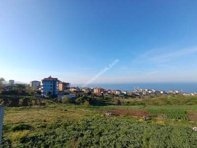 Trabzon Akçaabat Yaylacık Mah Satılık Arsa 14