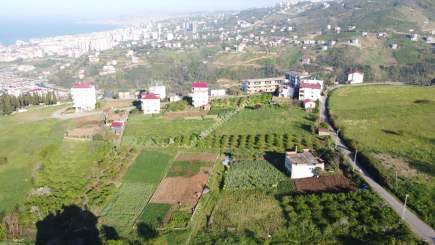 Trabzon Akçaabat Yaylacık Mah Satılık Arsa 17