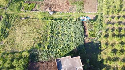 Trabzon Akçaabat Yaylacık Mah Satılık Arsa 7