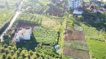 Trabzon Akçaabat Yaylacık Mah Satılık Arsa 4