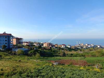 Trabzon Akçaabat Yaylacık Mah Satılık Arsa 11