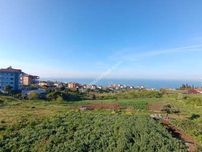 Trabzon Akçaabat Yaylacık Mah Satılık Arsa 13