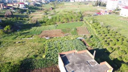 Trabzon Akçaabat Yaylacık Mah Satılık Arsa 9