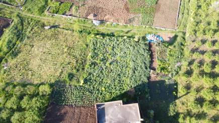 Trabzon Akçaabat Yaylacık Mah Satılık Arsa 3