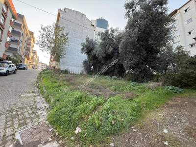 Akçaabat Yaylacık Mahallesinde Satılık İmarlı Arsa 7