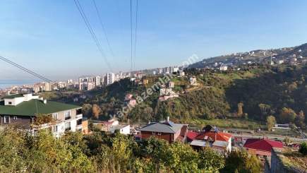 Trabzon Akçaabat Yaylacık'Ta Satılık Arsa