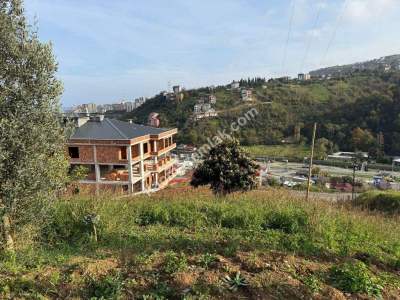 Akçaabat Yaylacık Mahallesinde Satılık 400 M2 Arsa