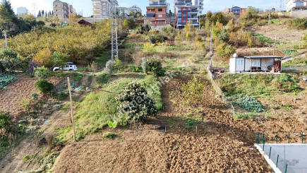 Akçaabat Yaylacık Mahallesinde Satılık 400 M2 Arsa 6