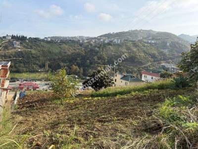 Akçaabat Yaylacık Mahallesinde Satılık 400 M2 Arsa 12