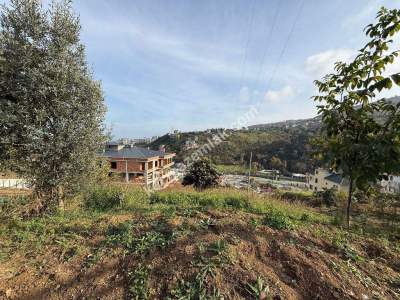 Akçaabat Yaylacık Mahallesinde Satılık 400 M2 Arsa 8