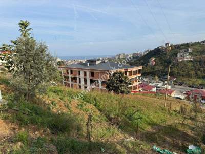 Akçaabat Yaylacık Mahallesinde Satılık 400 M2 Arsa 14