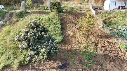 Akçaabat Yaylacık Mahallesinde Satılık 400 M2 Arsa 7