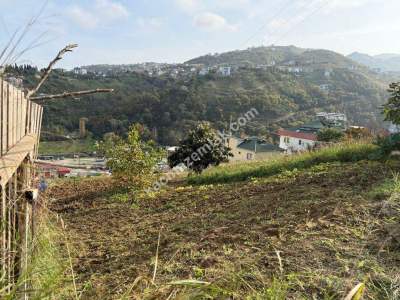 Akçaabat Yaylacık Mahallesinde Satılık 400 M2 Arsa 13