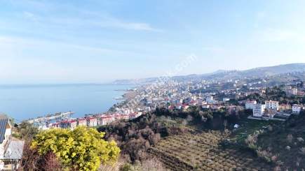 Trabzon Akçaabat Yeni Mahallede Satılık 533 M2 Arsa 1