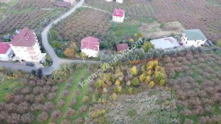 Trabzon Akçaabat Zeytinlikte Satılık Arsalar 8