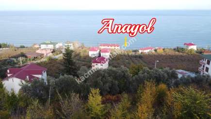 Trabzon Akçaabat Zeytinlikte Satılık Arsalar 11