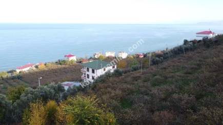 Trabzon Akçaabat Zeytinlikte Satılık Arsalar 14