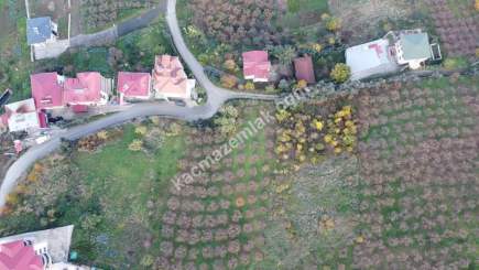 Trabzon Akçaabat Zeytinlikte Satılık Arsalar 9