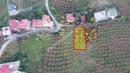 Trabzon Akçaabat Zeytinlikte Satılık Arsalar 4