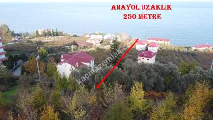 Trabzon Akçaabat Zeytinlikte Satılık Arsalar 6