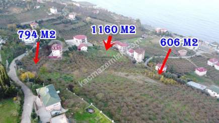 Trabzon Akçaabat Zeytinlikte Satılık Arsalar 16