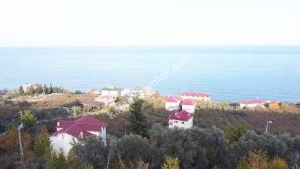 Trabzon Akçaabat Zeytinlikte Satılık Arsalar 1