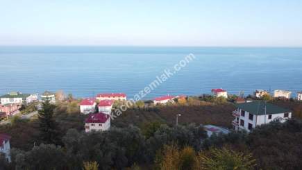 Trabzon Akçaabat Zeytinlikte Satılık Arsalar 13