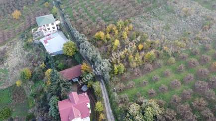 Trabzon Akçaabat Zeytinlikte Satılık Arsalar 7