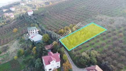 Trabzon Akçaabat Zeytinlikte Satılık Arsalar 2