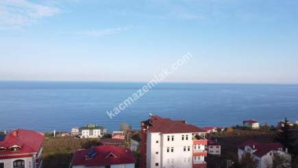 Trabzon Akçaabat Zeytinlikte Satılık Arsalar 1