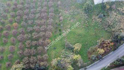 Trabzon Akçaabat Zeytinlikte Satılık Arsalar 7