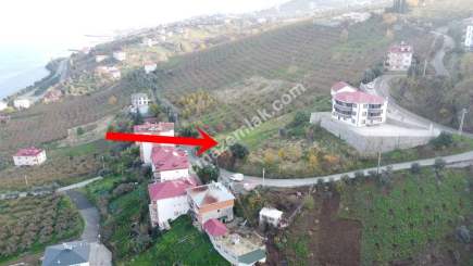 Trabzon Akçaabat Zeytinlikte Satılık Arsalar 6