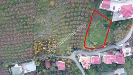 Trabzon Akçaabat Zeytinlikte Satılık Arsalar 5