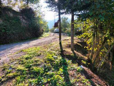 Trabzon Arsin'de Elmalan Mahallesi'nde Satılık Arazi 5