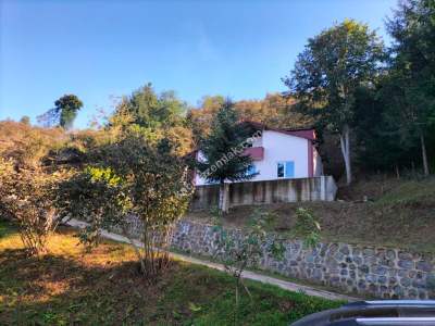 Trabzon Arsin'de Elmalan Mahallesi'nde Satılık Arazi 3