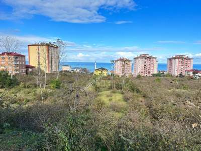 Trabzon Arsin Yeşilyalı Kuzguncukta Satılık İmarlı Arsa 1