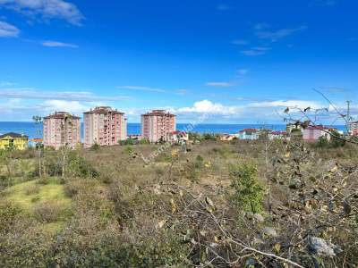 Trabzon Arsin Yeşilyalı Kuzguncukta Satılık İmarlı Arsa 3