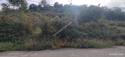 Beşikdüzü Çeşmeönünde Satılık İfrazlı Arsa 1