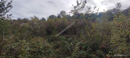 Beşikdüzü Çeşmeönünde Satılık İfrazlı Arsa 8