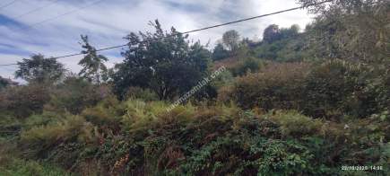 Beşikdüzü Çeşmeönünde Satılık İfrazlı Arsa 4