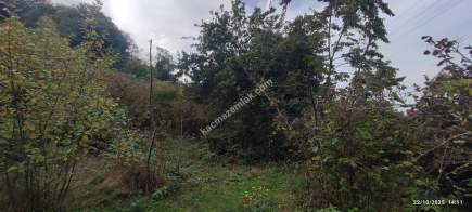 Beşikdüzü Çeşmeönün De Satılık İfrazlı Arsa 7