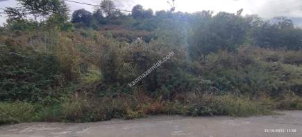 Beşikdüzü Çeşmeönün De Satılık İfrazlı Arsa 1