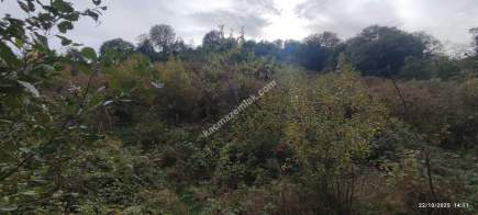 Beşikdüzü Çeşmeönün De Satılık İfrazlı Arsa 6