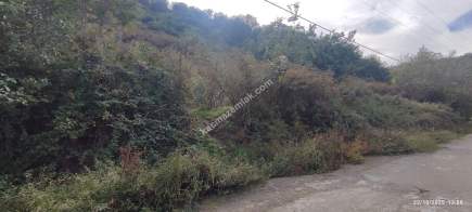 Beşikdüzü Çeşmeönün De Satılık İfrazlı Arsa 2