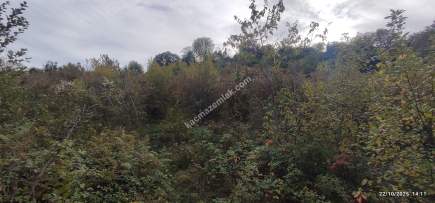 Beşikdüzü Çeşmeönünde Satılık Arsa 12